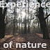 Experience of Nature | Poetry of Light