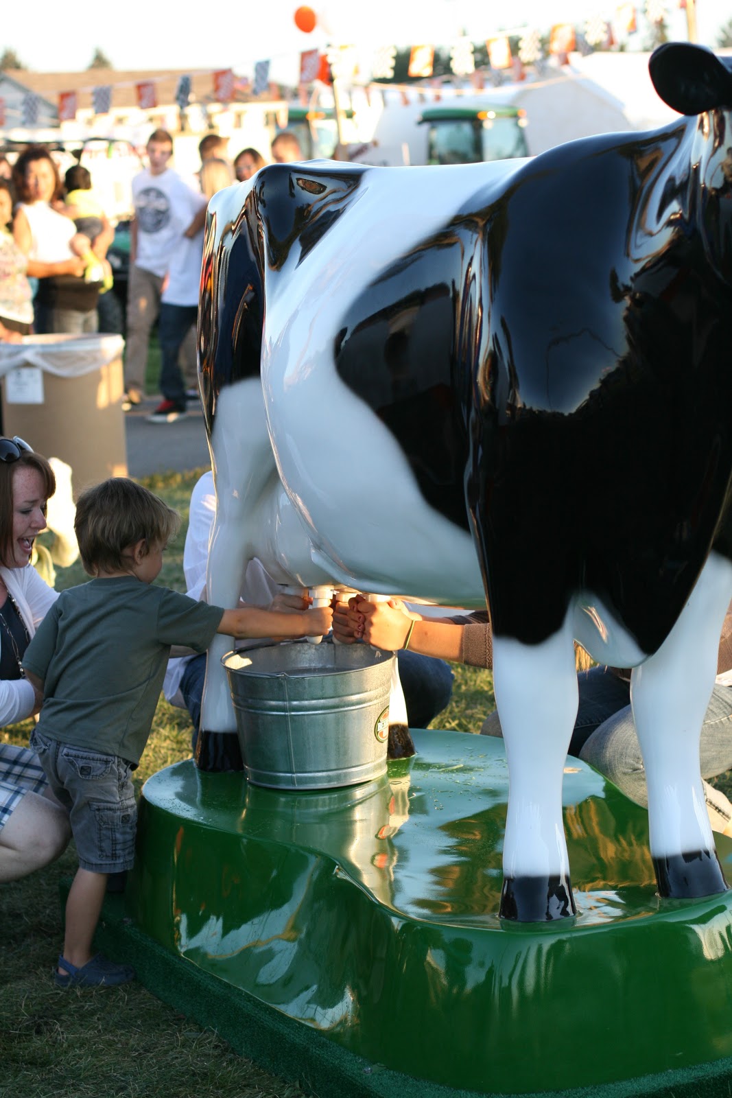 The Joneses Blackfoot Eastern Idaho Fair