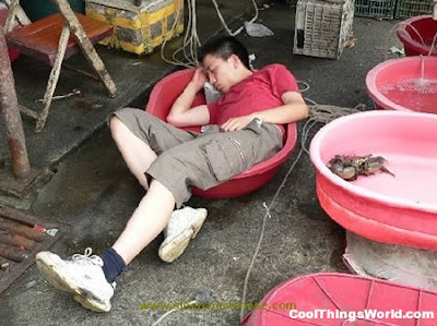 Posisi Lucu Orang Lagi Tidur