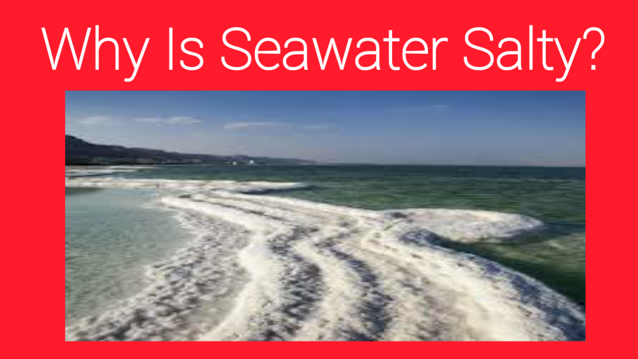 Why Are The Oceans Salty And How Does It Vary Between vrogue.co