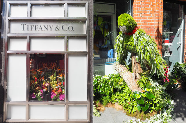 Chelsea in Bloom Chelsea in Bloom