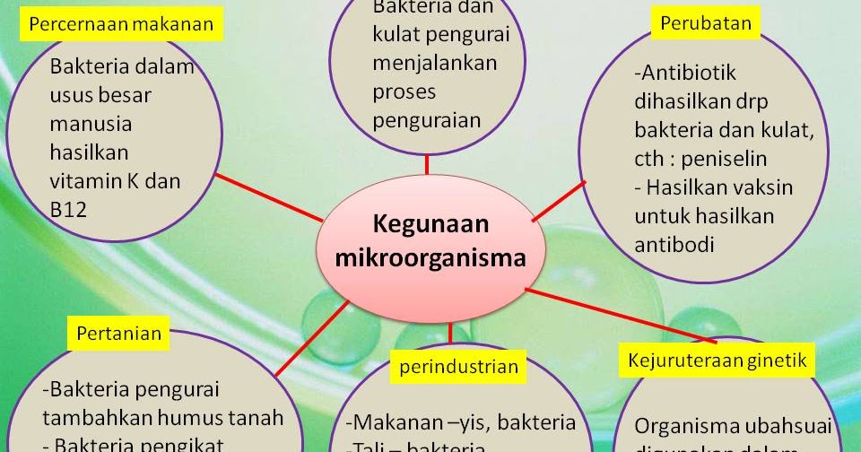 Jawapan Amali Proses Sains Tingkatan 1 Pelangi  edx courses x