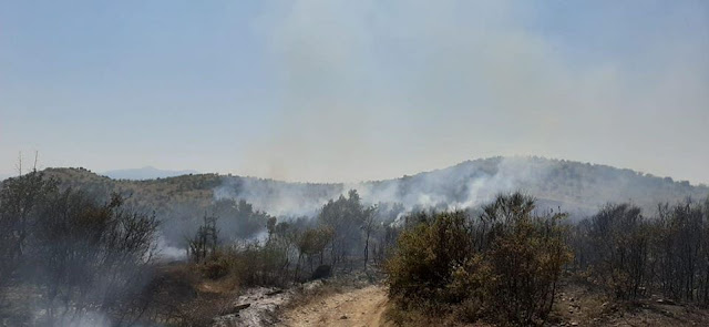 Σε εξέλιξη πυρκαγιά στη Λύβενα του Δήμου Φοινικαίων