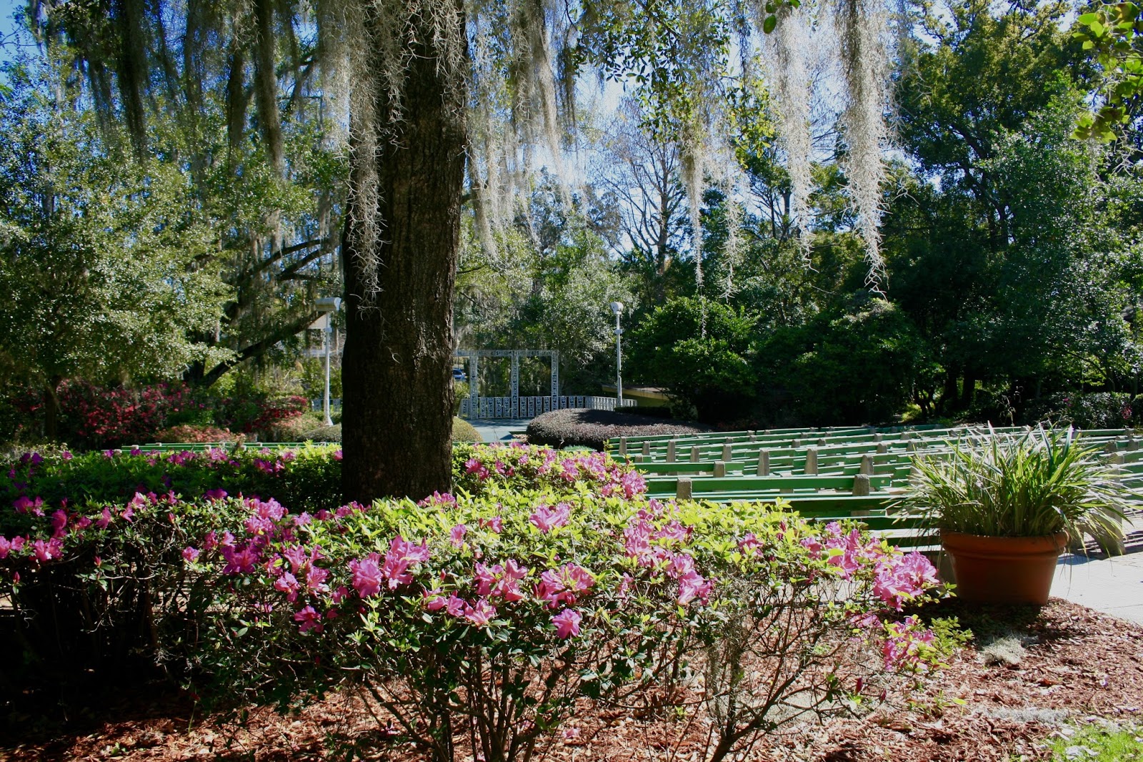 Amy's Creative Pursuits Mead Botanical Gardens