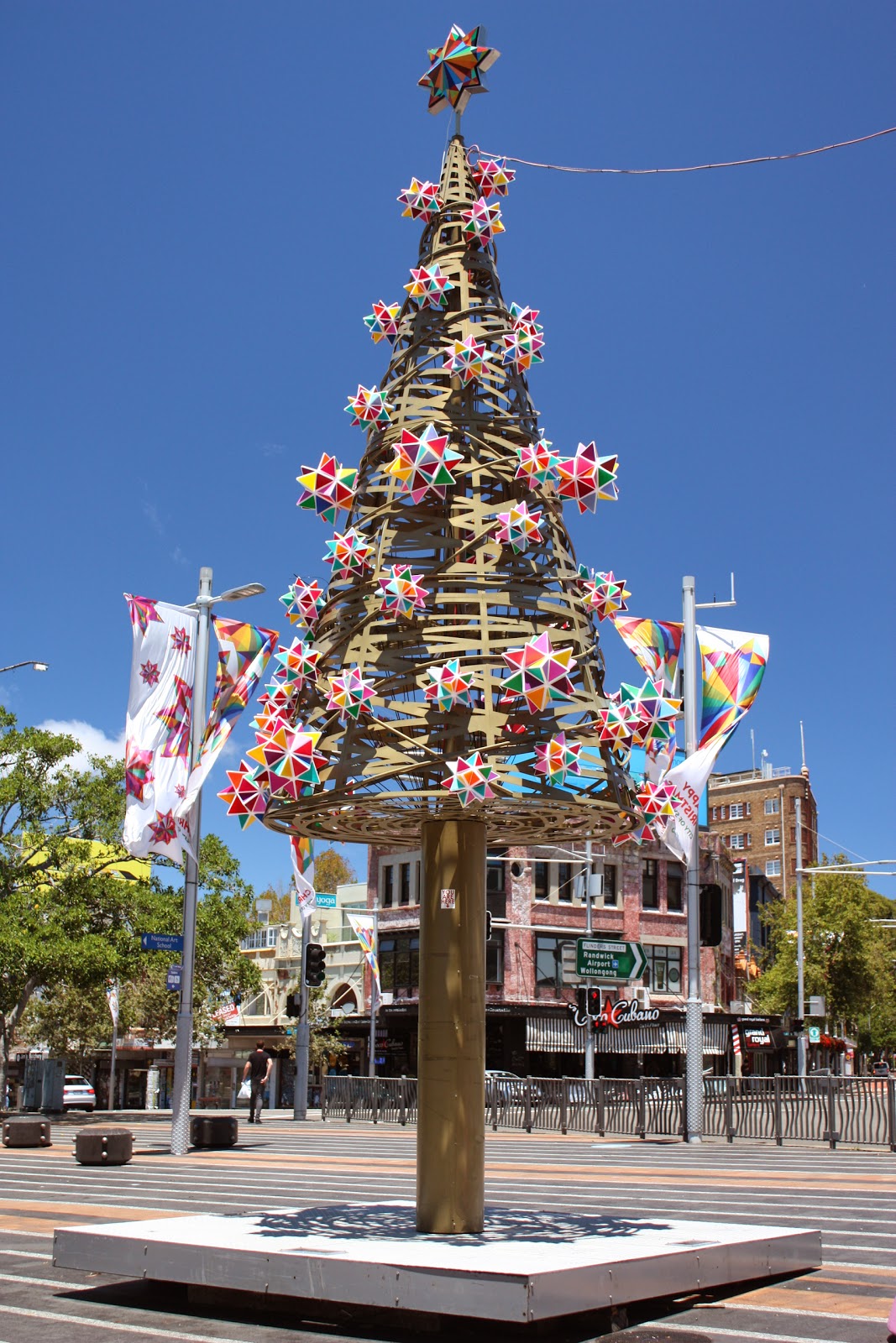 Sydney City and Suburbs Darlinghurst, Christmas tree