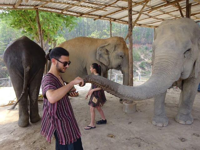 Elephant Jungle Sanctuary - Chiang Mai