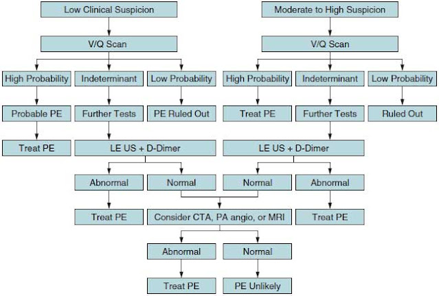 Diagnostic strategy for patients with suspected PE