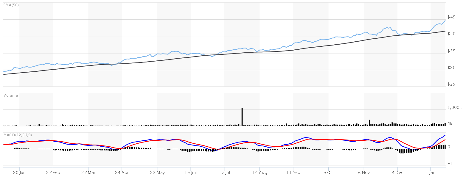 Invest in Artificial Intelligence