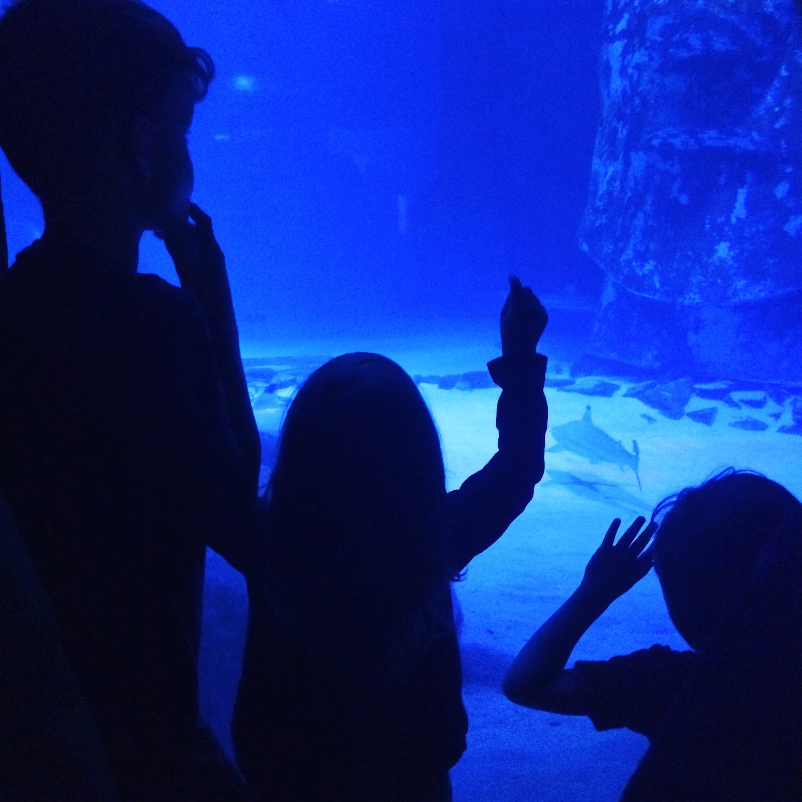 Rainbowsaretoobeautiful My top five autism awareness posts