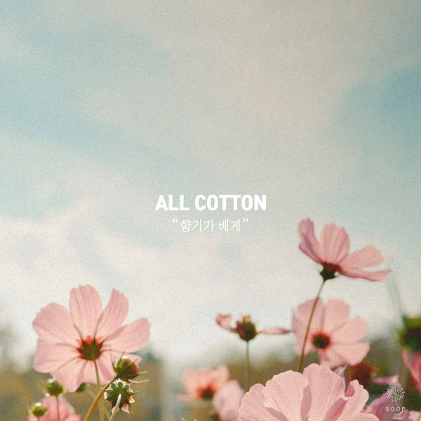 ALL COTTON – Your Scent – Single