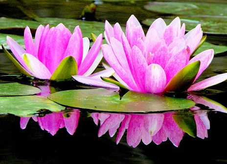 blogerin: Penyebab Miss V Keputihan Dan Gatal