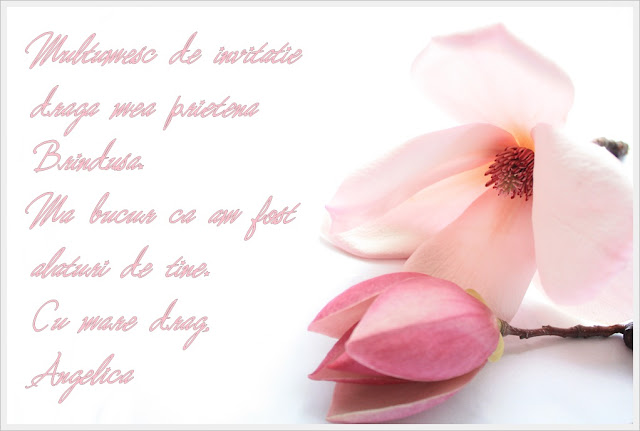 ''Special pentru Brindusa''