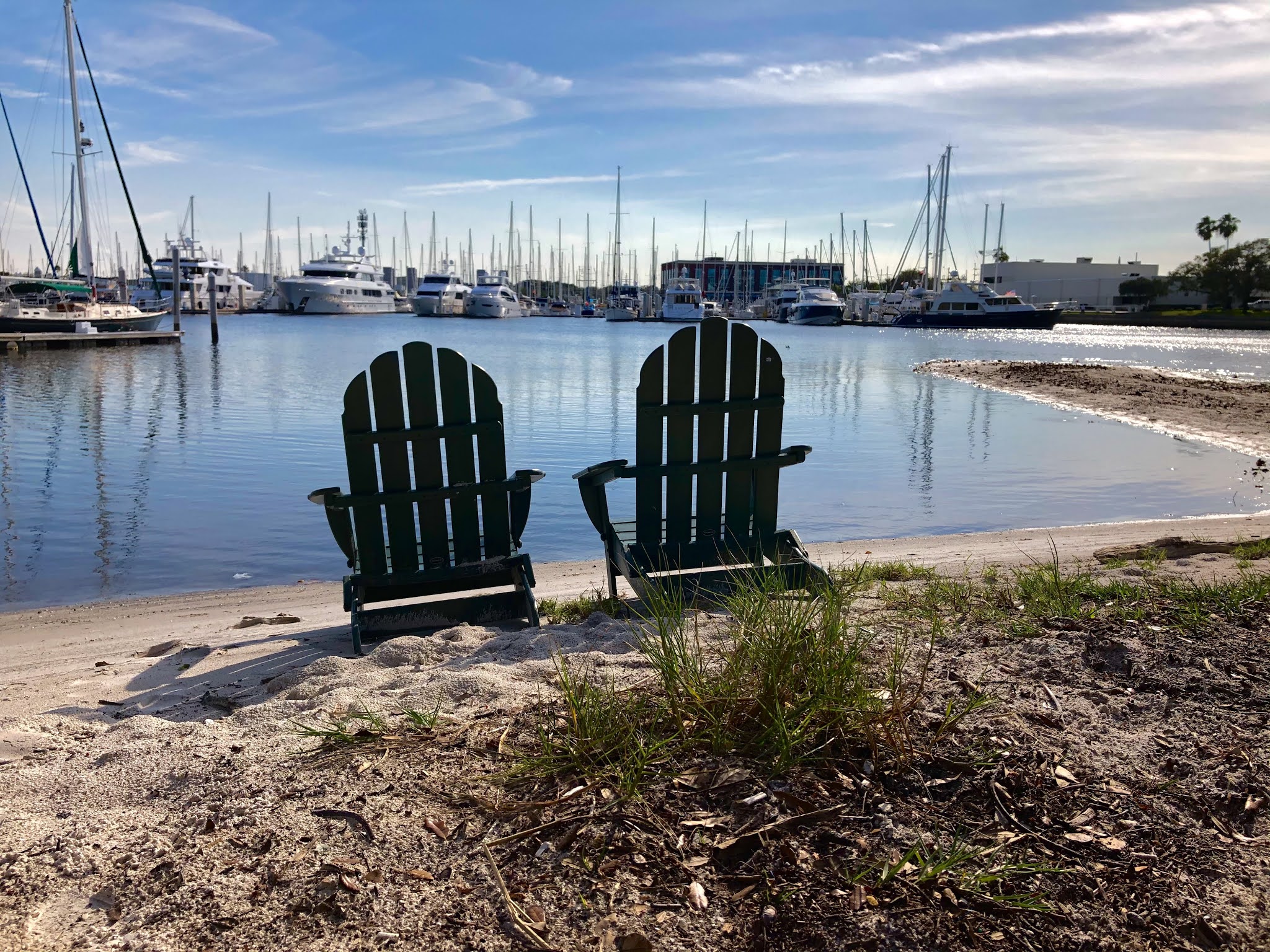 Bayboro Harbor Downtown St. Petersburg David Brodosi