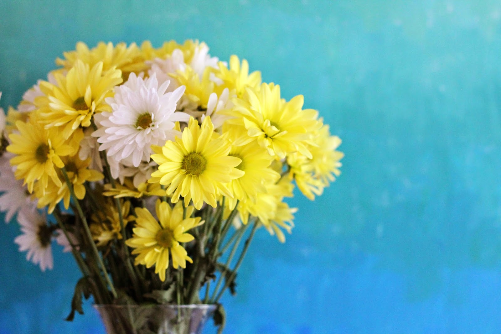 Silver Lining my favorite trick to keep flowers fresh longer