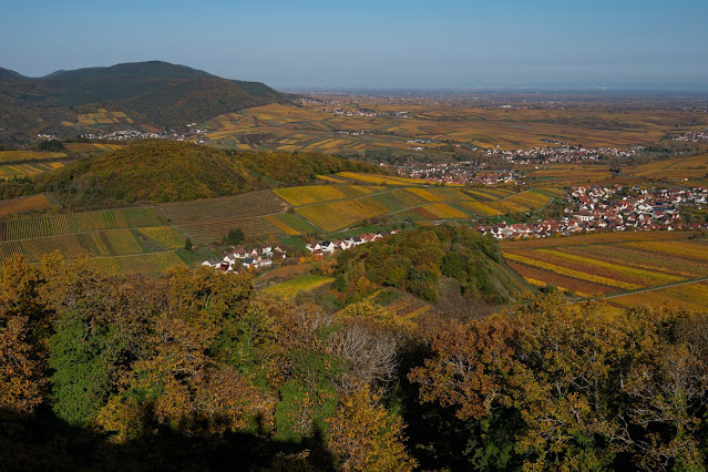 Pfälzer Keschdeweg | Etappe 2 Annweiler bis Albersweiler | Wandern Südliche Weinstraße | Wandern Wasgau 20