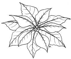 Poinsettia coloring page 9