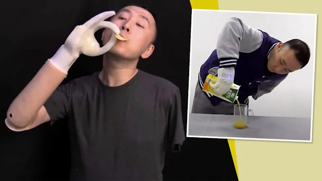 Inflatable prosthetic hand can pet a cat and do lot more besides