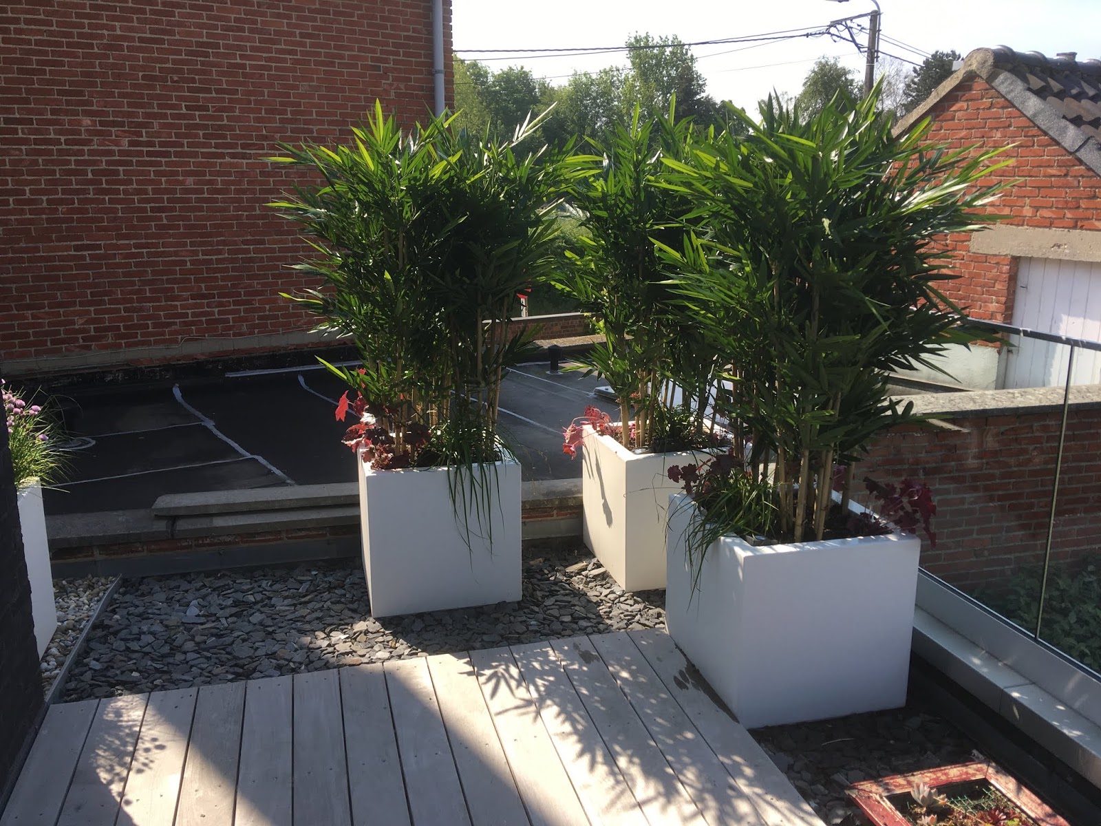 Kunstplanten buiten) | KOEN-interieurbeplanting | verhuur en
