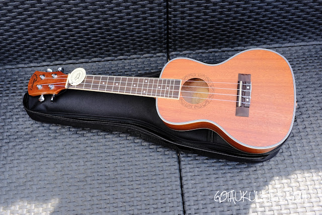 Lohanu Lu C Concert Ukulele Review