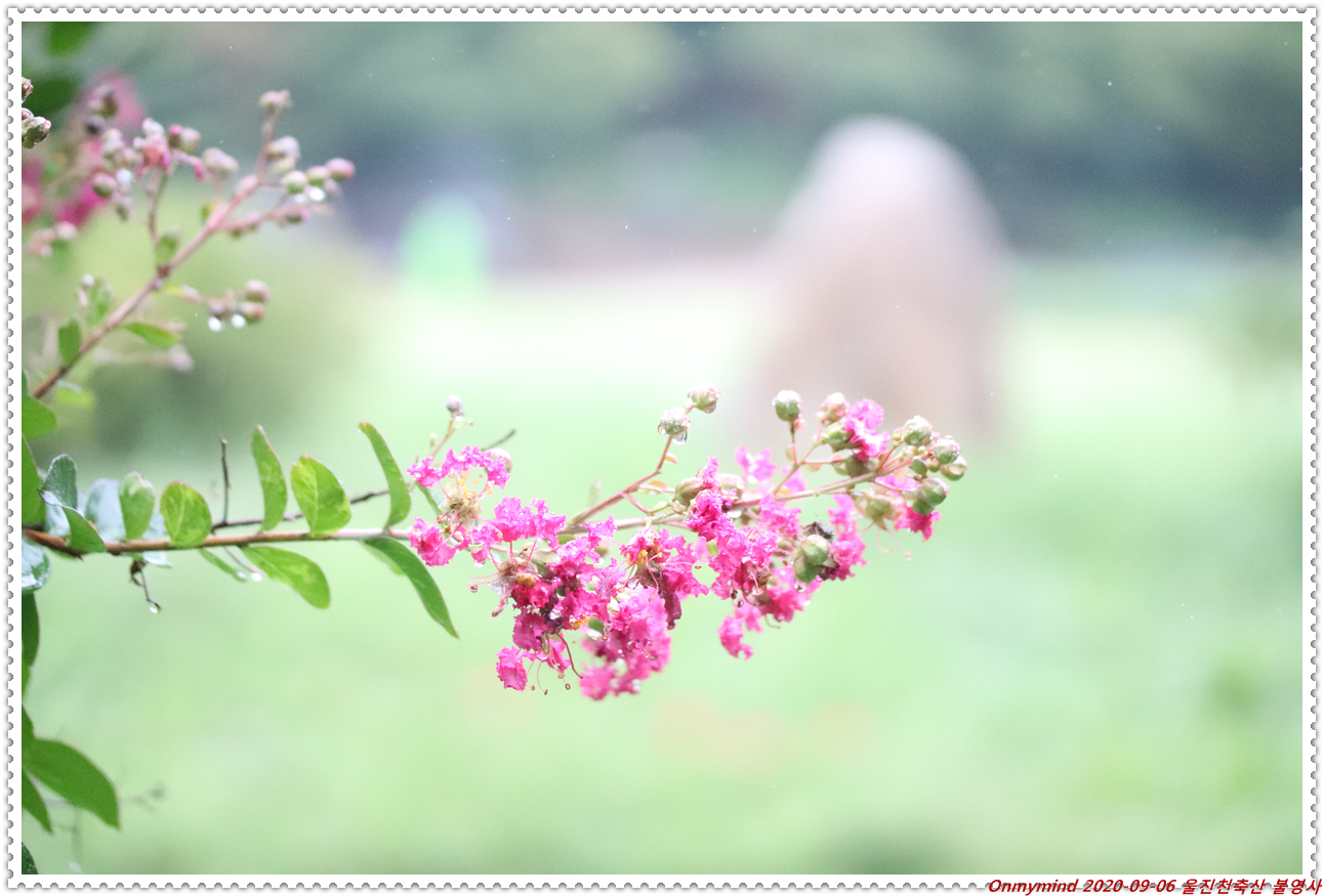 천축산 불영사 천축산 불영사