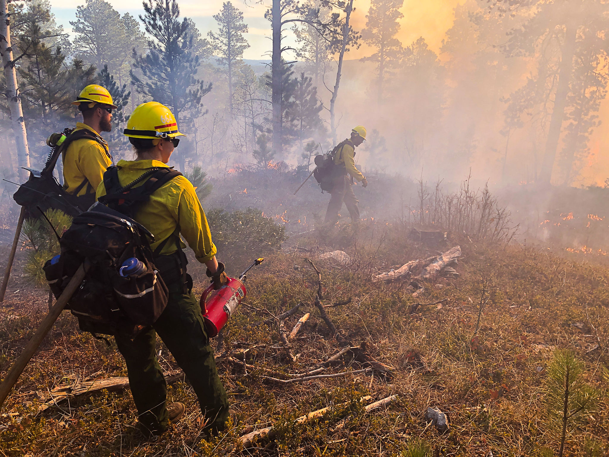 Great Plains Fire Information Black Hills National Forest Continues