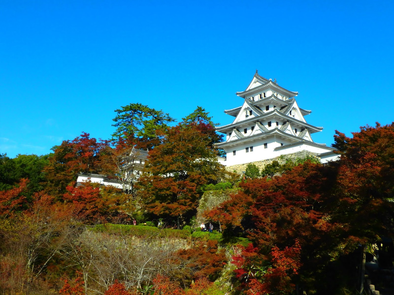 город гифу япония