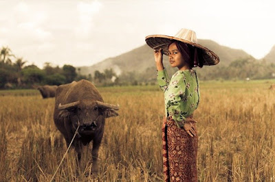 Usaha Sampingan yang Cocok di Kembangkan di Desa Usaha Sampingan yang Cocok di Kembangkan di Desa
