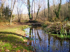 AIGUAMOIXOS DE LA DEU I LA MOIXINA (OLOT)