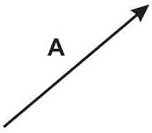 Perkalian Vektor (Macam, Rumus, Sifat, Dan Pola Soal) | Cara Ampuh