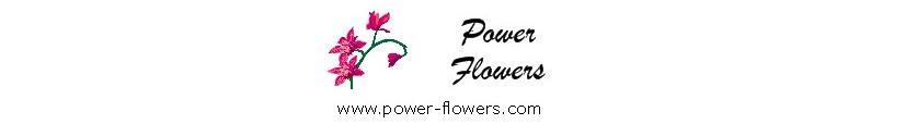 Toronto Florist - Power Flowers