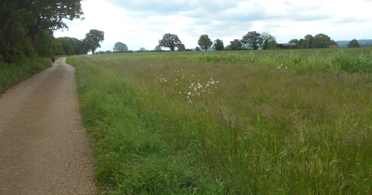 Tony's Blog Major Morrison's Land