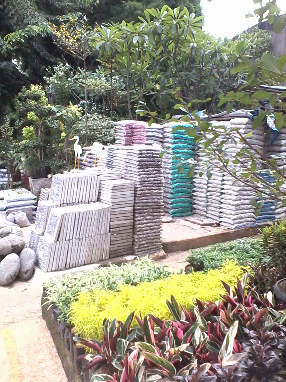 sobat properti minimalis: Desain Taman Apotik Hidup