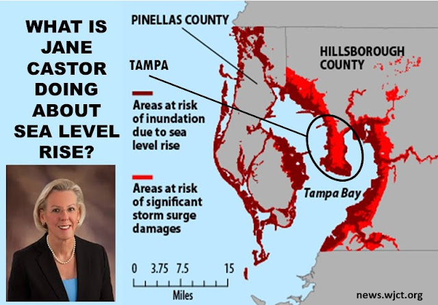 BAY POST INTERNET: A Tale of Two Cities and Sea-Level Rise - Tampa