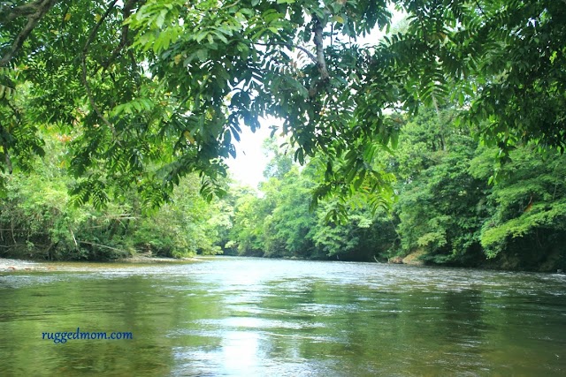 Gunung Mulu National Park, Miri | Lang Cave and Deer Cave