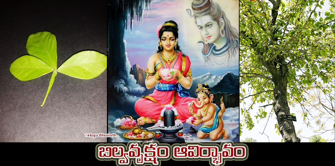 బిల్వవృక్షం ఆవిర్భావం - Bilva Vruksham