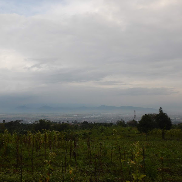 Archive for February 2020