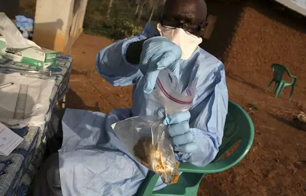  News, World, Africa, Diseased, Death, Hospital, Lassa Viral Fever Outbreak in Western Africa kills Dozens