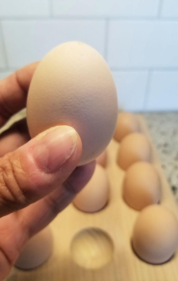 How to Tell if an Egg is Fresh (Just by Picking It Up!) Fresh Eggs