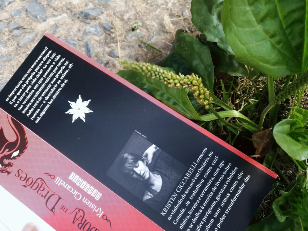 RESENHA DE LIVRO: A CAÇADORA DE DRAGÕES - KRISTEN CICCARELLI (#1 ISKARI)