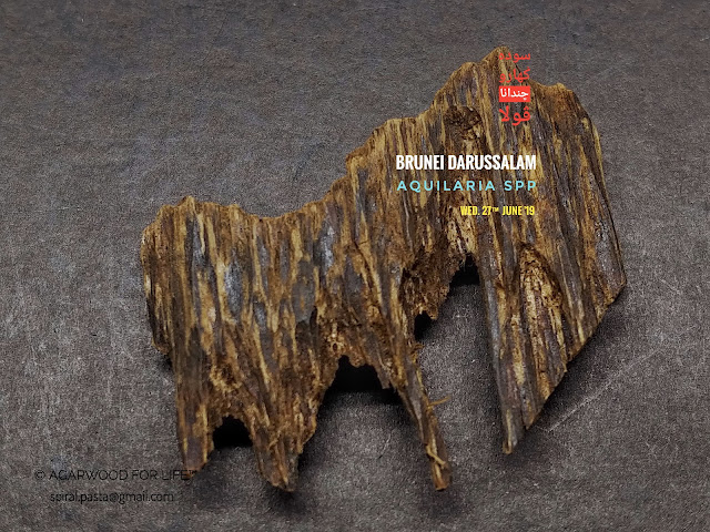 Agarwood For Life™ Red Soil Grade of Agarwood from Brunei that suits for burn as incense