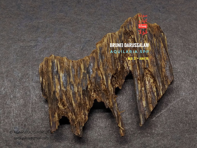 Red Soil Grade of Agarwood from Brunei that suits for burn as incense