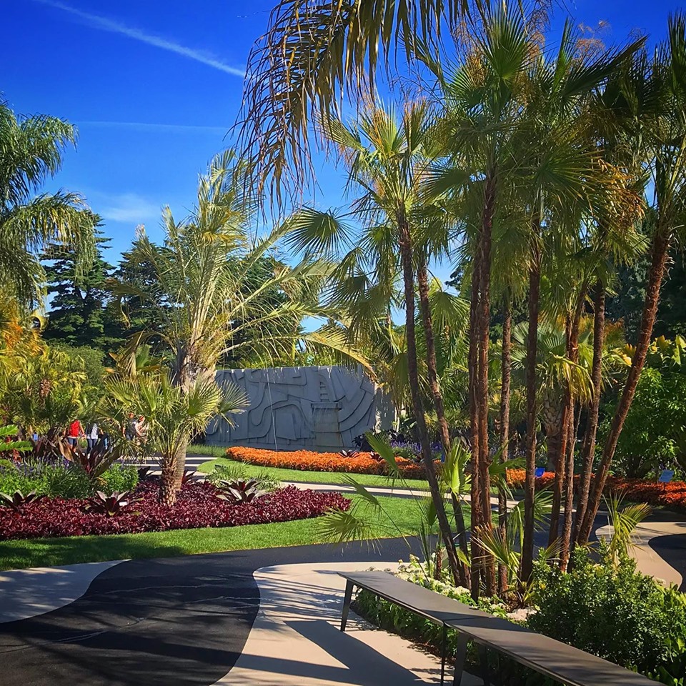 El arte vivo de Burle Marx en Brasil y en el Jardín Botánico de Nueva York