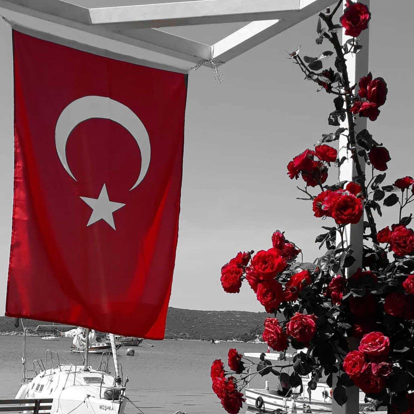 en guzel ay yildizli turk bayragi resimleri 20