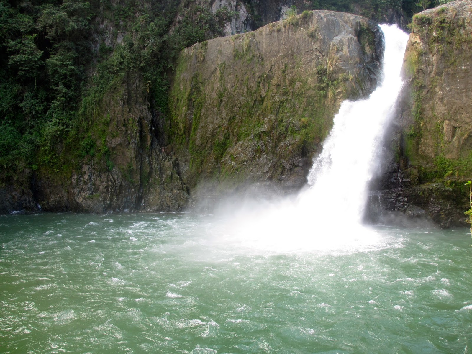 Ritmo del Caribe Jarabacoa!