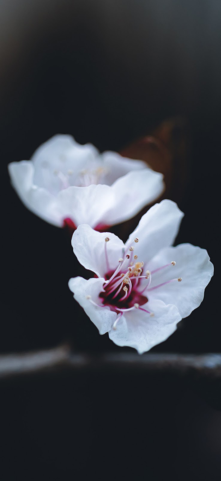 Graffiti Hd Wallpaper Wallpapers Quality