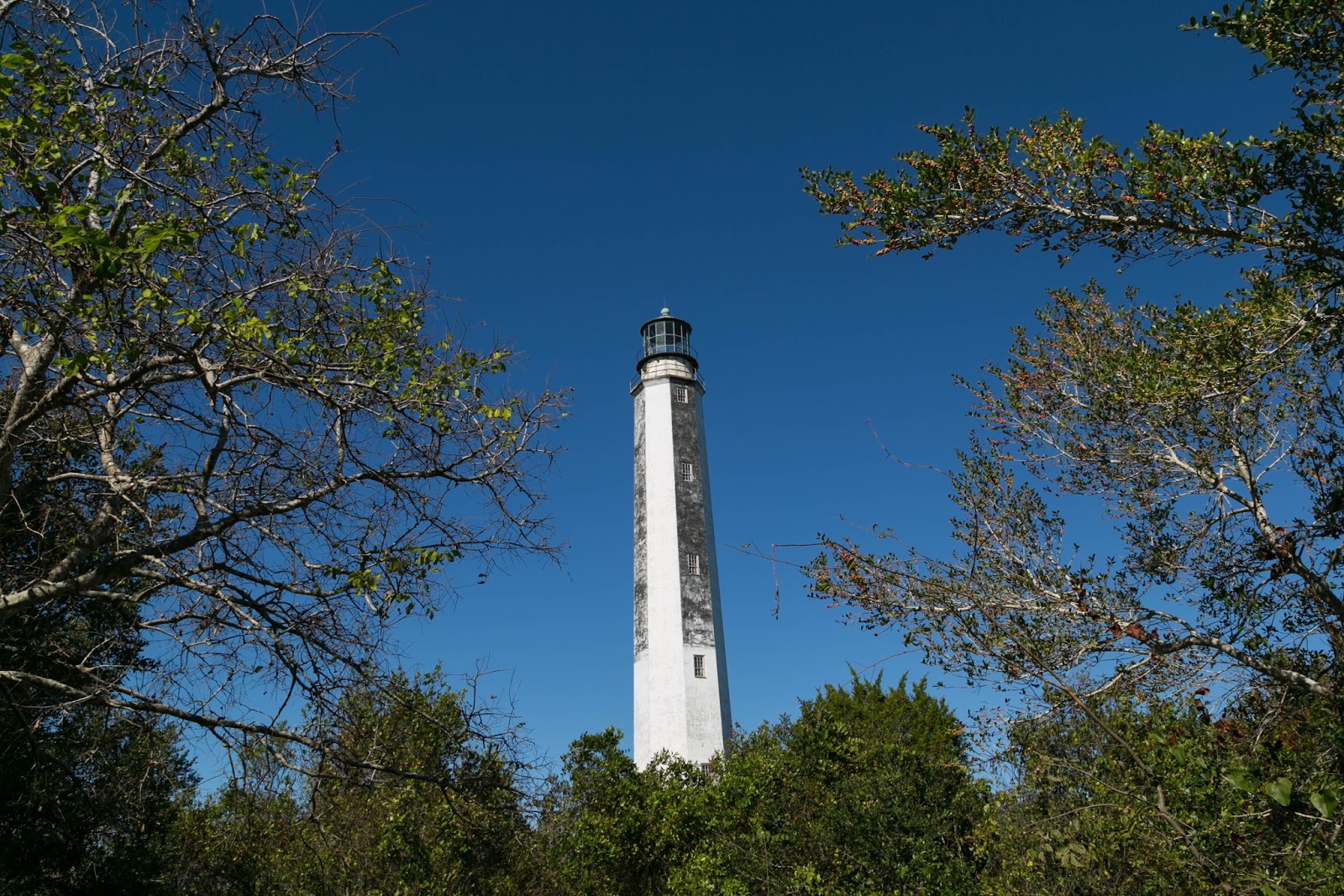 Charleston Daily Photo Cape Romain Lighthouse Tour