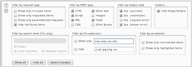  Burp Suite Site Map Display Filters 