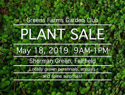 The Southport Globe Today Greens Farms Garden Club Plant Sale