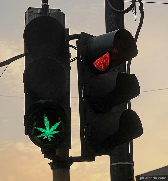 semaforo marijuana