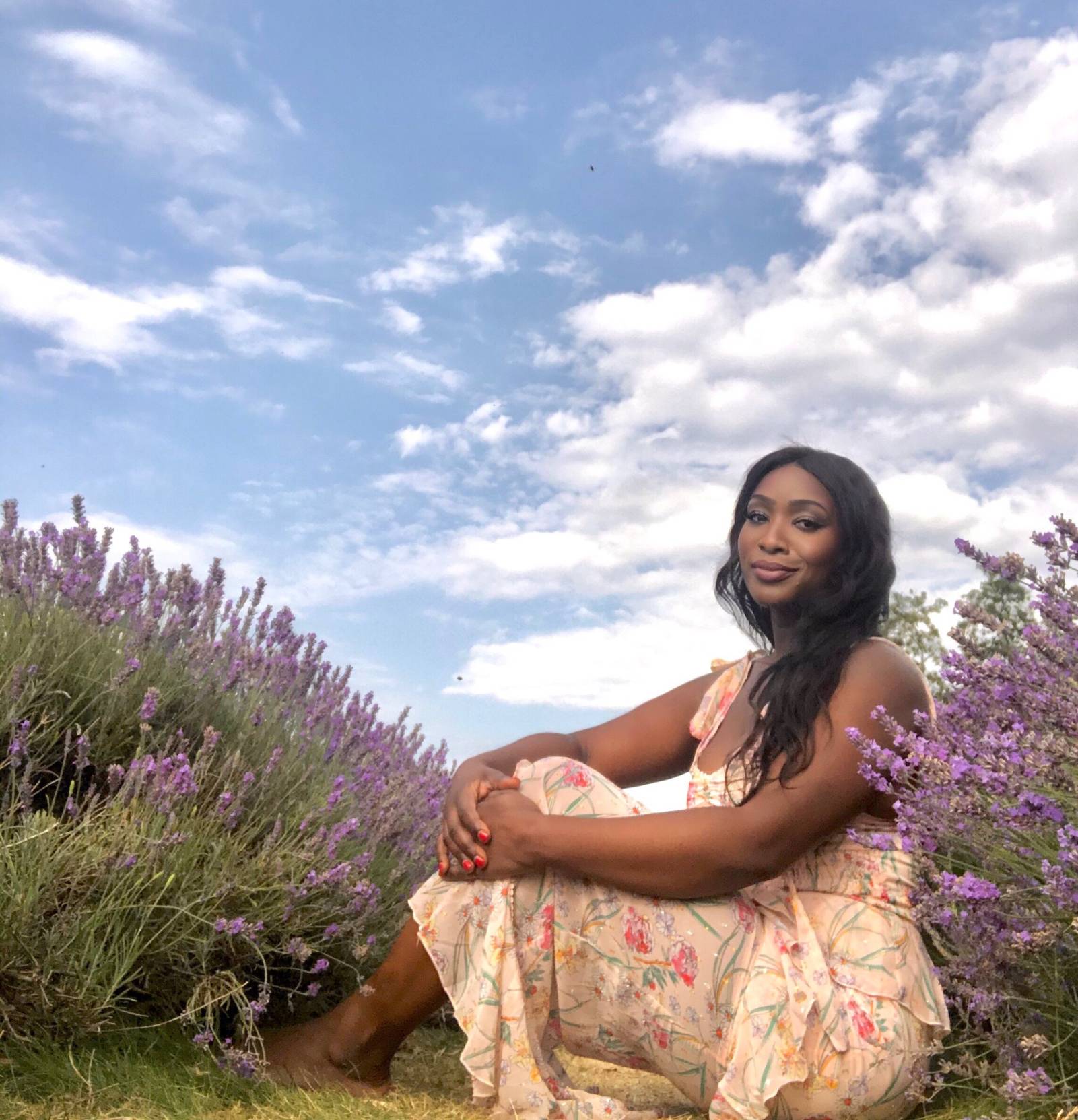 Mayfield Lavender Farm Banstead